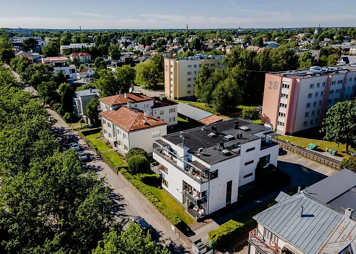 Tammsaare Apartamento